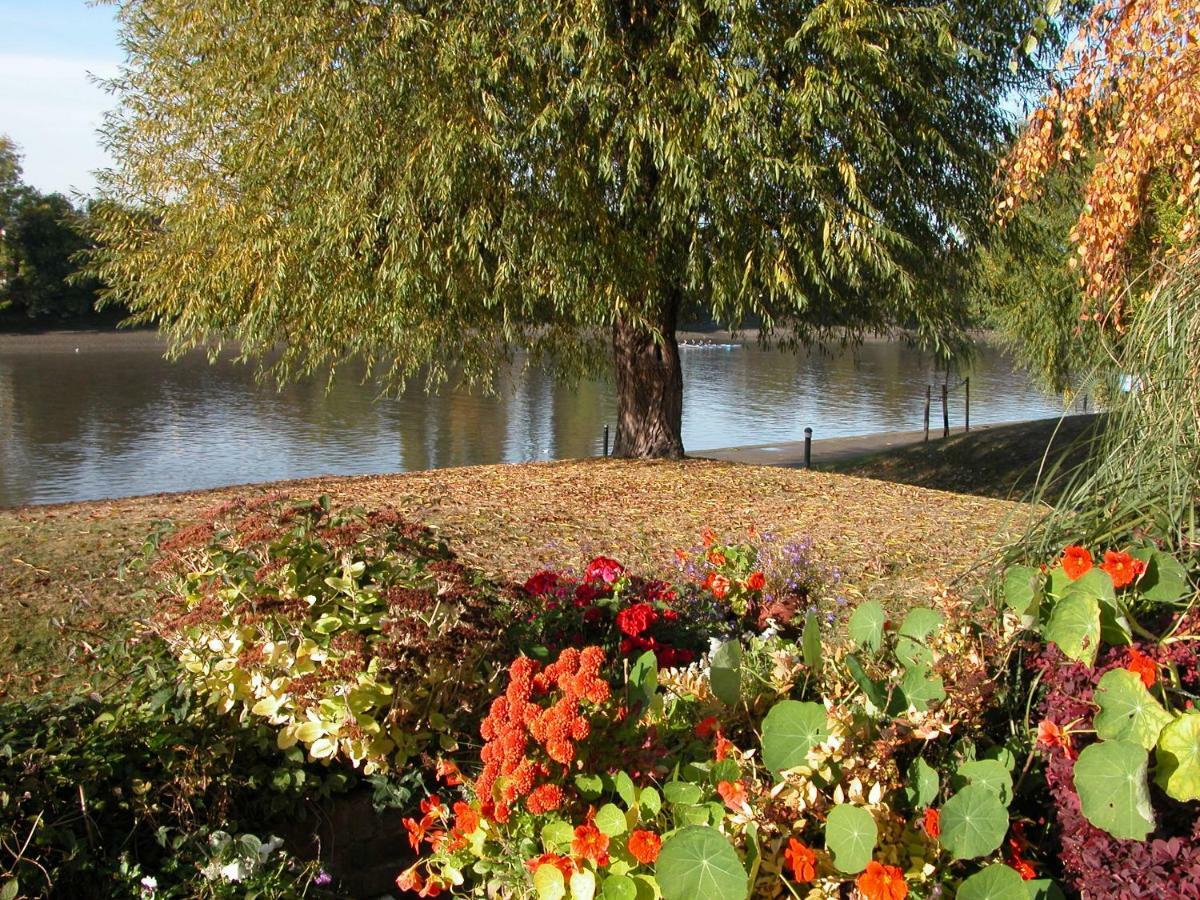 Chiswick Riviera With Free Parking Bed & Breakfast London Bagian luar foto