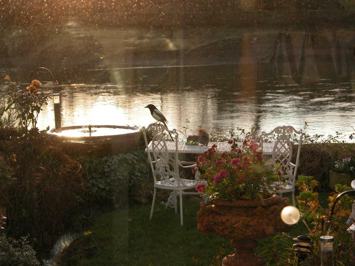 Chiswick Riviera With Free Parking Bed & Breakfast London Bagian luar foto